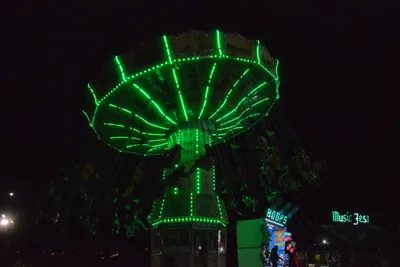 DSC_7795 (Large).JPG